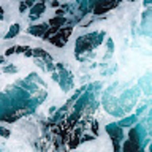 Meet your Posher, Mehrnaz